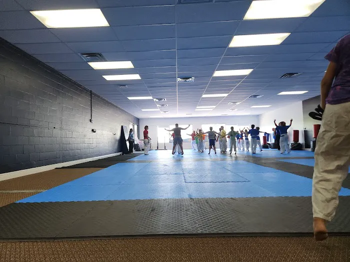 Courageous Kicks Taekwondo Picture 5