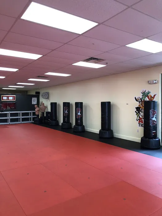 ATA Karate Picture 2