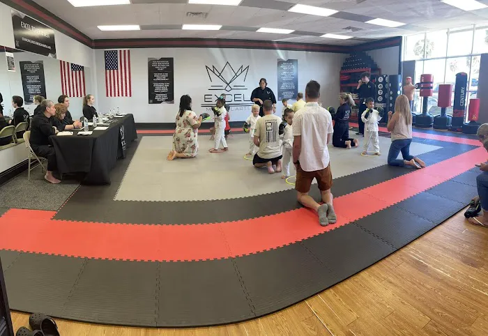 Excel Martial Arts Picture 2