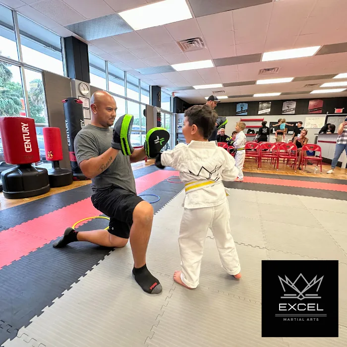 Excel Martial Arts Picture 9