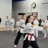 The STAND Taekwondo ico