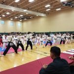 Korean American Martial Arts Academy