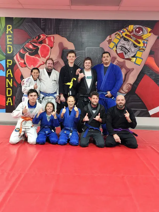 Red Panda Jiujitsu Picture 5