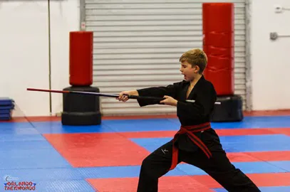 Orlando Taekwondo No Contracts Picture 1