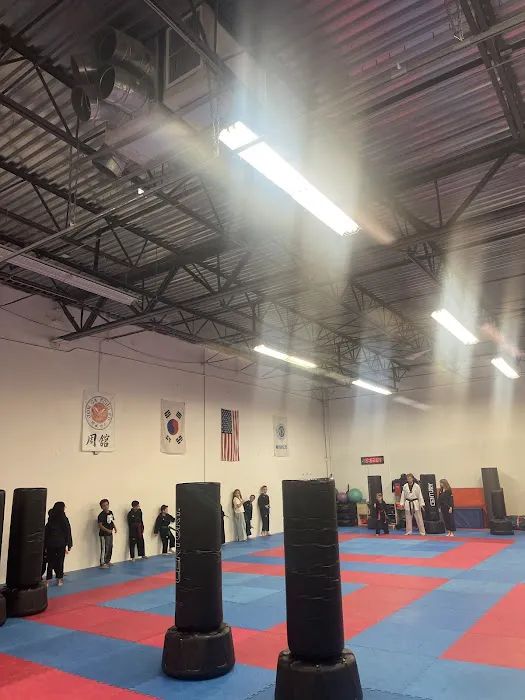 Orlando Taekwondo No Contracts Picture 2