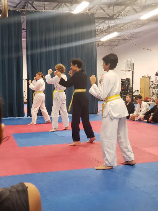 Orlando Taekwondo No Contracts Picture 4