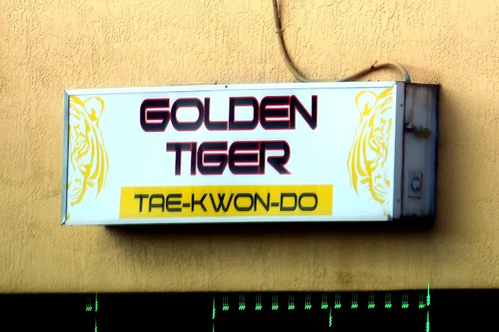 Golden Tiger Tae Kwon Do Picture 3