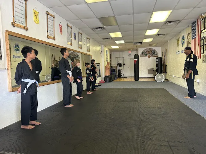 Golden Tiger Tae Kwon Do Picture 4