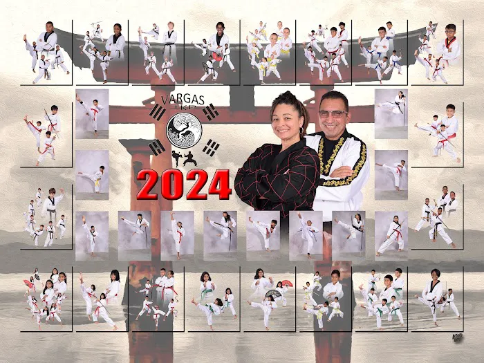 Vargas Taekwondo Picture 5