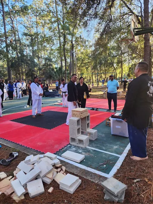 Vargas Taekwondo Picture 9