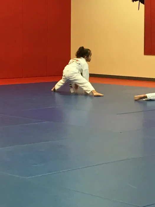 Five Tenets Martial Arts Center Picture 4