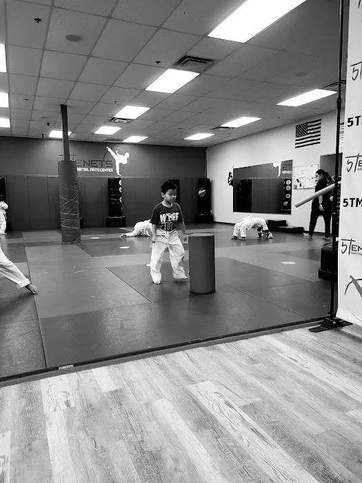 Five Tenets Martial Arts Center Picture 7