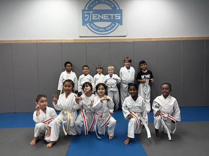 Five Tenets Martial Arts Center Picture 9