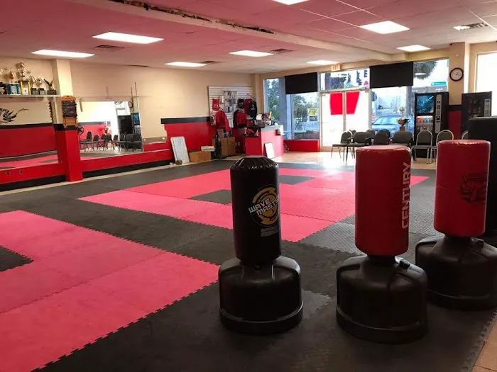 Florida Sports Martial Arts Academy Picture 2