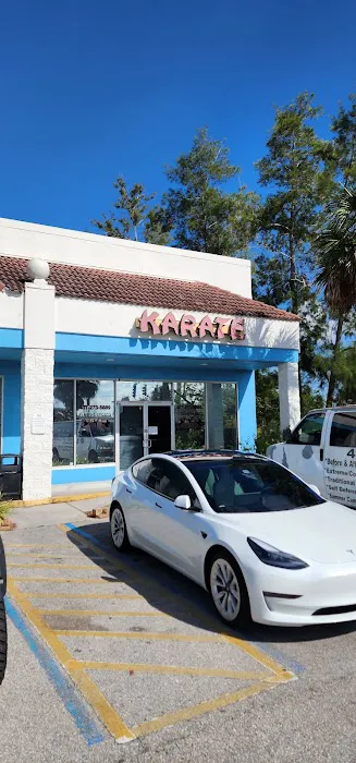 Florida Sports Martial Arts Academy Picture 5