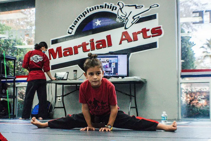 Championship Martial Arts - Lake Nona Picture 8