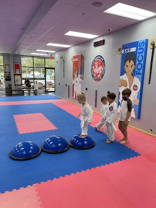 Shotokan Karate-Do Florida Picture 8