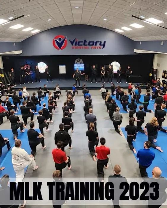 Victory Martial Arts Picture 7
