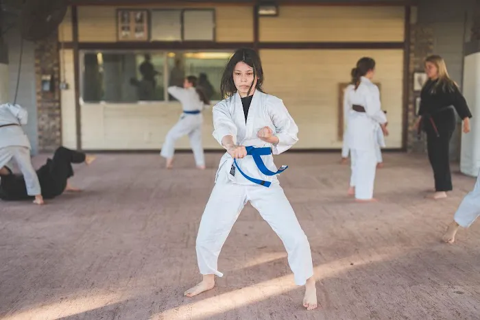 North Wind Martial Arts Academy Picture 7