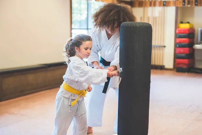 North Wind Martial Arts Academy Picture 10