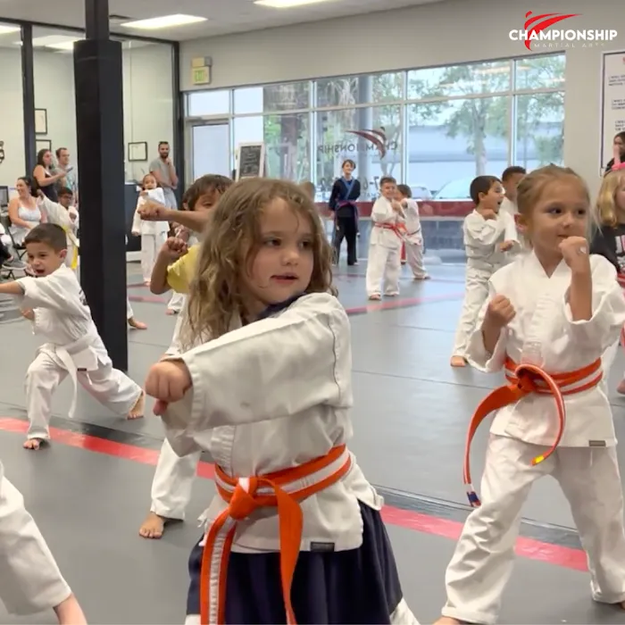 Championship Martial Arts - Tuskawilla Picture 10