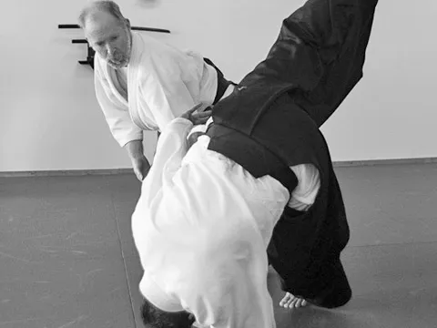 Kimusubi Aikido Orlando Dojo Picture 3