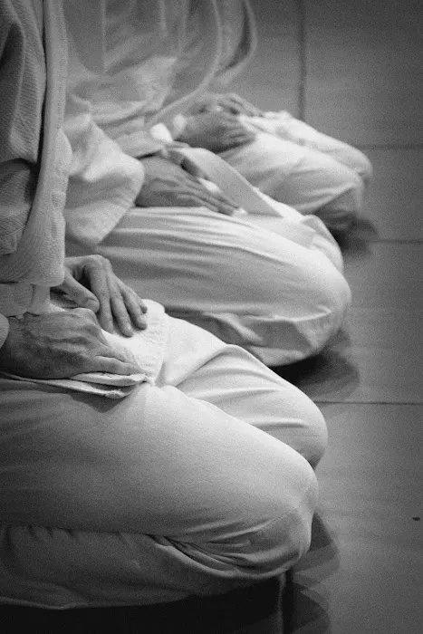 Kimusubi Aikido Orlando Dojo Picture 6