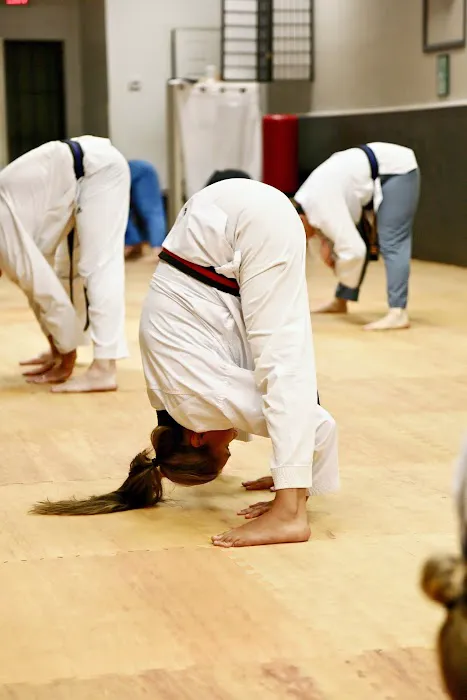 Robertson Martial Arts & Yoga, inc Picture 6
