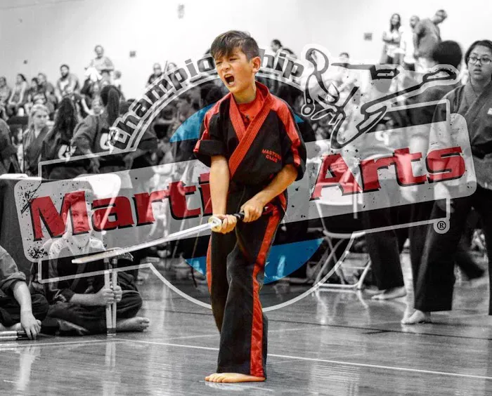 Championship Martial Arts/ Spartan Brazilian Jiu Jitsu Picture 10
