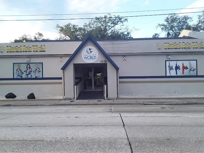 Martial Arts World Orlando Picture 7