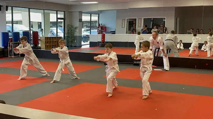 Hero Academy Martial Arts & Leadership Picture 2