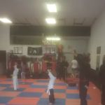 Breakwondo Martial Arts