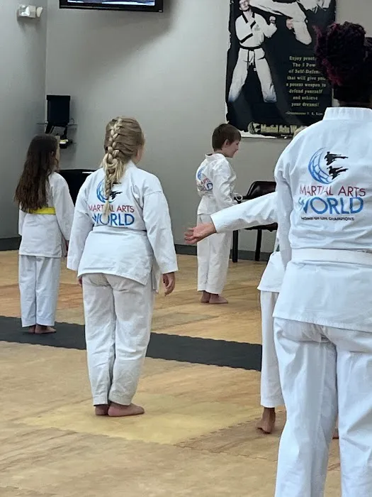 Martial Arts World Lake Mary, Inc Picture 4