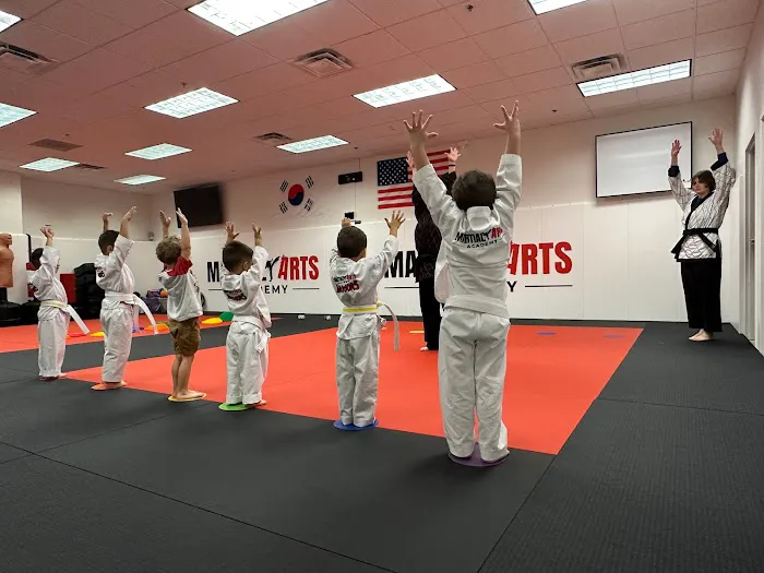 Martial Arts Academy Picture 6