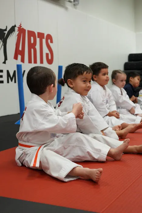 Martial Arts Academy Picture 2