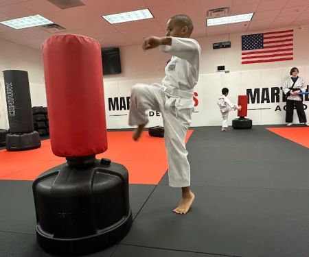 Martial Arts Academy