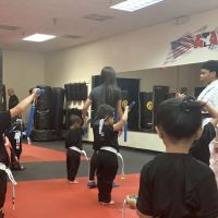 Victory Martial Arts ico
