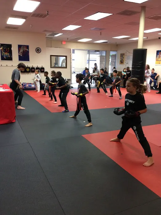 Victory Martial Arts Picture 4