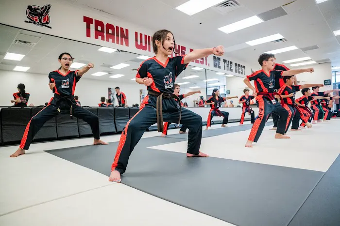 Global Champs Karate Picture 9