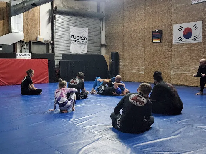 Fusion Martial Arts School Picture 3