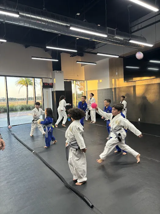 Martial Arts Nation Lake Nona BJJ Picture 7