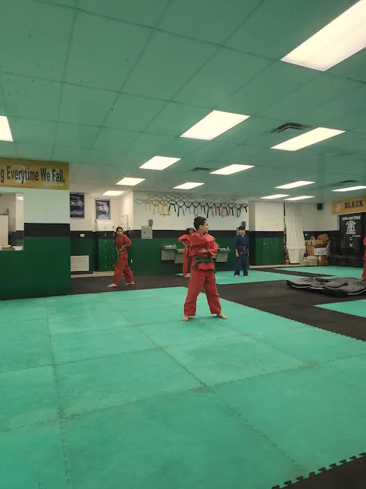 Brown's TKD Institute Picture 6