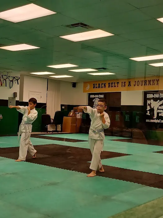 Brown's TKD Institute Picture 9