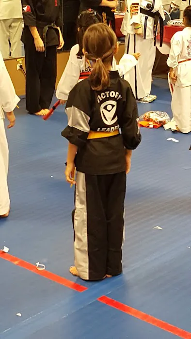 Victory Martial Arts - Dr. Phillips Picture 8