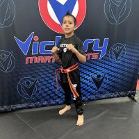 Victory Martial Arts - Hunter's Creek ico