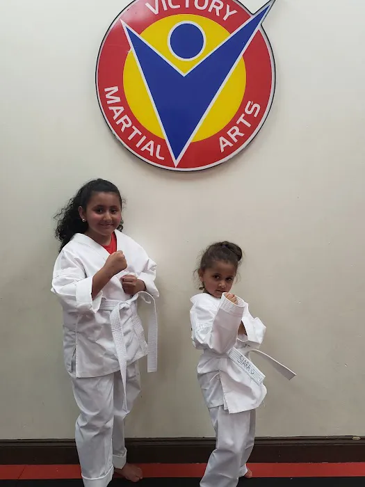 Victory Martial Arts - Hunter's Creek Picture 9