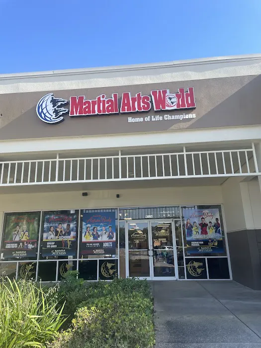 Martial Arts World Hunters Creek Picture 1