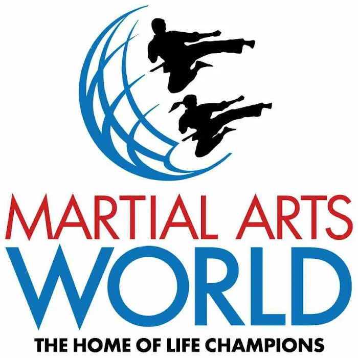 Martial Arts World Hunters Creek Picture 7