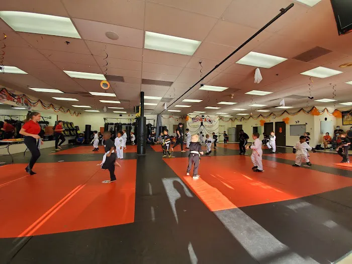 Victory Martial Arts Picture 2