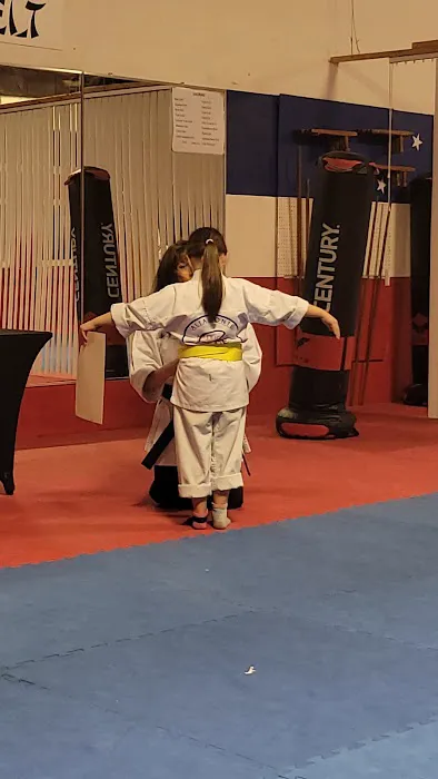 Altamonte American Karate Academy Picture 3